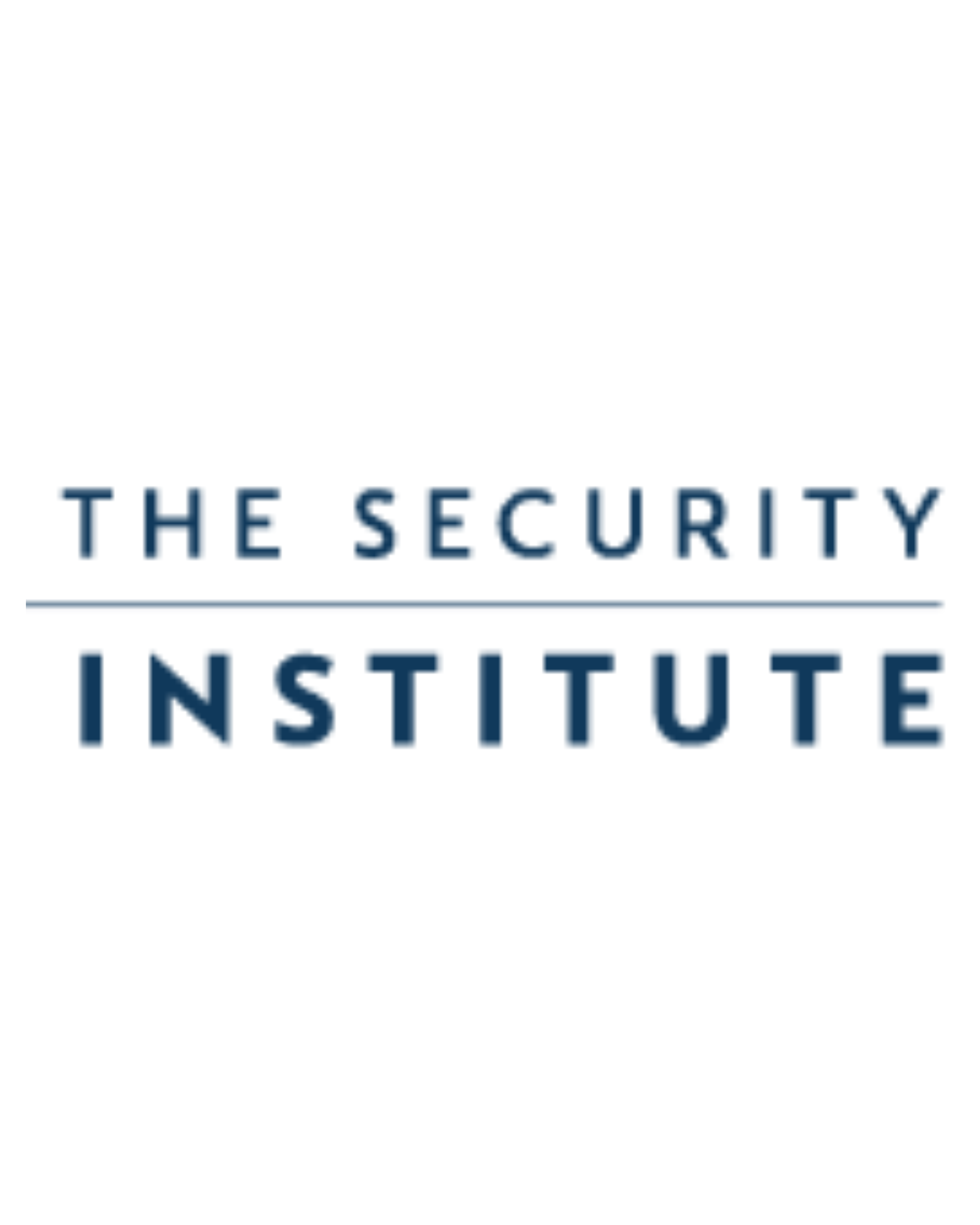 The Security Institute